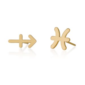 Zodiac Sigh Stud Earrings - Beleco Jewelry